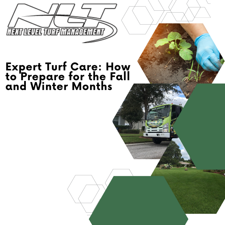 Turf Care for Fall & Winter