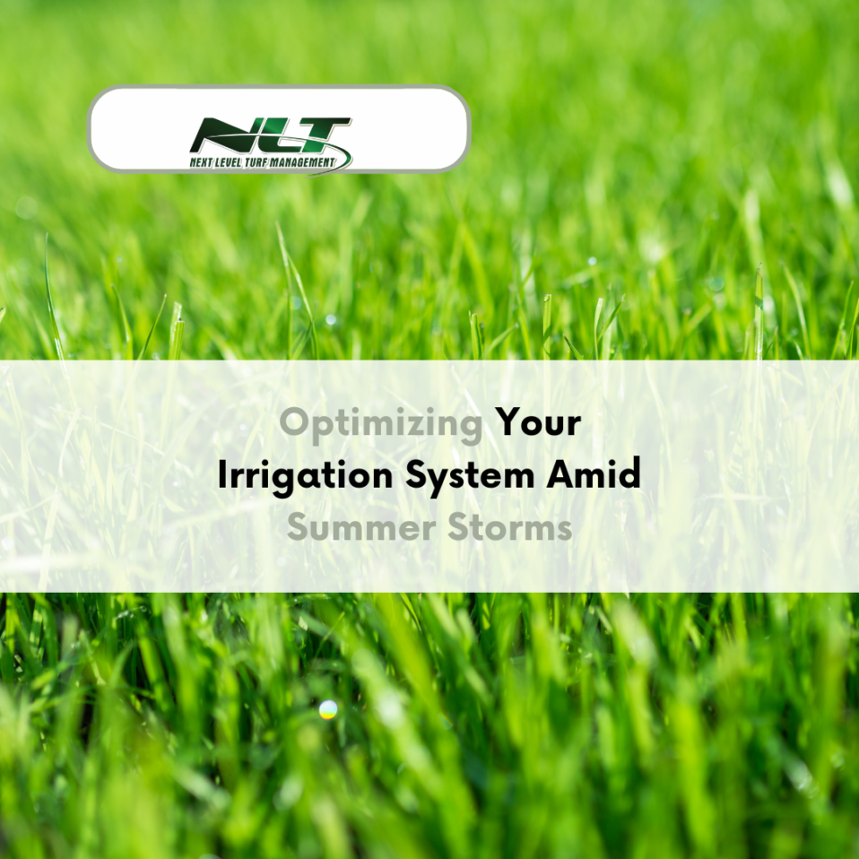 Irrigation System