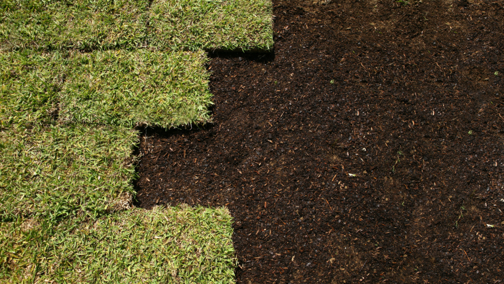 Close-up of sod squares being laid on a prepared soil surface