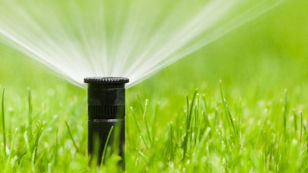 Close-up of a sprinler watering a lawn